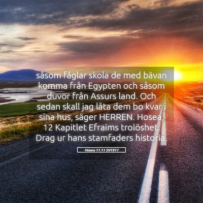 Picture 05 - Hosea 11:11 SV1917 - såsom fåglar skola de med bävan komma från - Bible Verse Picture