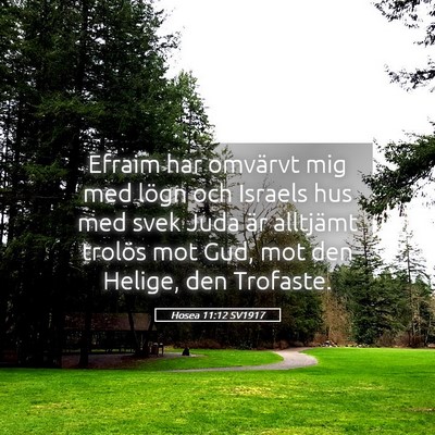 Picture 05 - Hosea 11:12 SV1917 - Efraim har omvärvt mig med lögn och Israels hus - Bible Verse Picture
