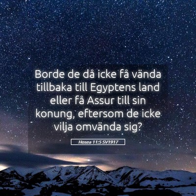 Picture 05 - Hosea 11:5 SV1917 - Borde de då icke få vända tillbaka till - Bible Verse Picture