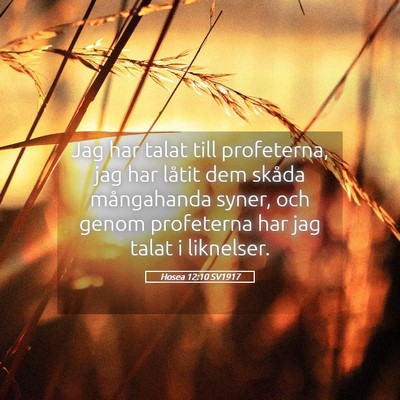 Picture 05 - Hosea 12:10 SV1917 - Jag har talat till profeterna, jag har låtit dem - Bible Verse Picture
