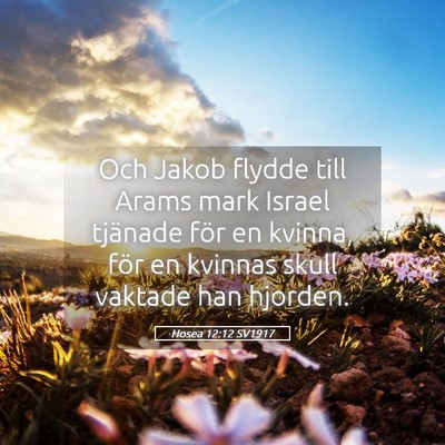 Picture 05 - Hosea 12:12 SV1917 - Och Jakob flydde till Arams mark Israel tjänade - Bible Verse Picture