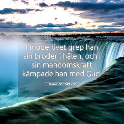 Picture 05 - Hosea 12:3 SV1917 - I moderlivet grep han sin broder i hälen, och i - Bible Verse Picture