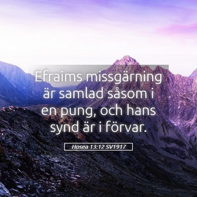 Picture 05 - Hosea 13:12 SV1917 - Efraims missgärning är samlad såsom i en pung, - Bible Verse Picture