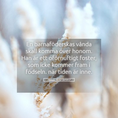 Picture 05 - Hosea 13:13 SV1917 - En barnaföderskas vånda skall komma över - Bible Verse Picture
