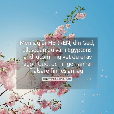 Picture 05 - Hosea 13:4 SV1917 - Men jag är HERREN, din Gud, alltsedan du var i - Bible Verse Picture