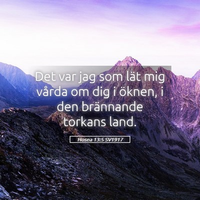 Picture 05 - Hosea 13:5 SV1917 - Det var jag som lät mig vårda om dig i öknen, - Bible Verse Picture