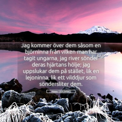 Picture 05 - Hosea 13:8 SV1917 - Jag kommer över dem såsom en björninna från - Bible Verse Picture