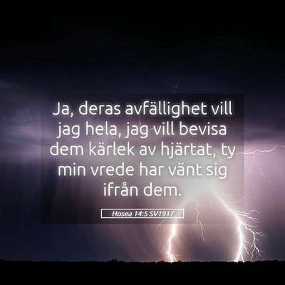 Picture 05 - Hosea 14:5 SV1917 - Ja, deras avfällighet vill jag hela, jag vill - Bible Verse Picture