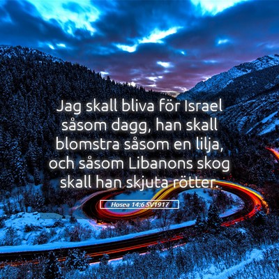 Picture 05 - Hosea 14:6 SV1917 - Jag skall bliva för Israel såsom dagg, han - Bible Verse Picture