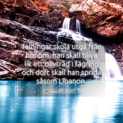 Picture 05 - Hosea 14:7 SV1917 - Telningar skola utgå från honom, han skall - Bible Verse Picture