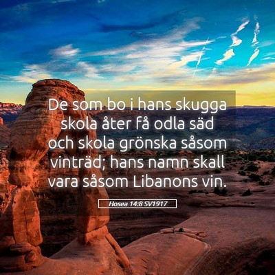 Picture 05 - Hosea 14:8 SV1917 - De som bo i hans skugga skola åter få odla säd - Bible Verse Picture