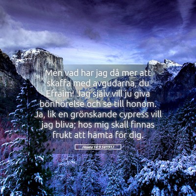 Picture 05 - Hosea 14:9 SV1917 - Men vad har jag då mer att skaffa med avgudarna, - Bible Verse Picture
