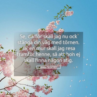 Picture 05 - Hosea 2:6 SV1917 - Se, därför skall jag nu ock stänga din väg - Bible Verse Picture