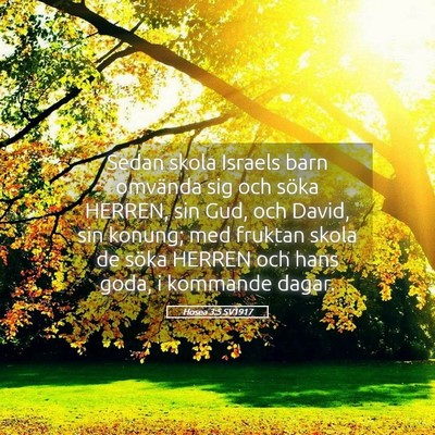 Picture 05 - Hosea 3:5 SV1917 - Sedan skola Israels barn omvända sig och söka - Bible Verse Picture