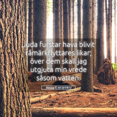 Picture 05 - Hosea 5:10 SV1917 - Juda furstar hava blivit råmärkflyttares likar; - Bible Verse Picture