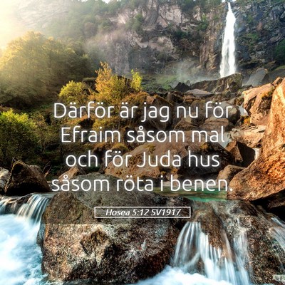 Picture 05 - Hosea 5:12 SV1917 - Därför är jag nu för Efraim såsom mal och - Bible Verse Picture