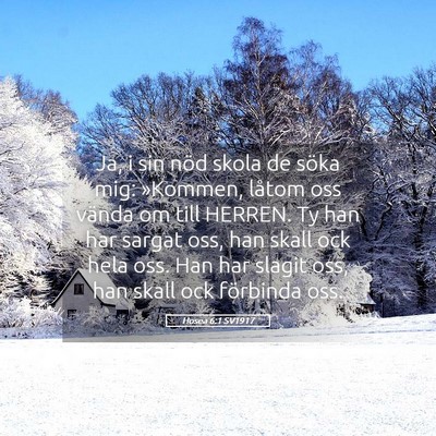 Picture 05 - Hosea 6:1 SV1917 - Ja, i sin nöd skola de söka mig: »Kommen, - Bible Verse Picture
