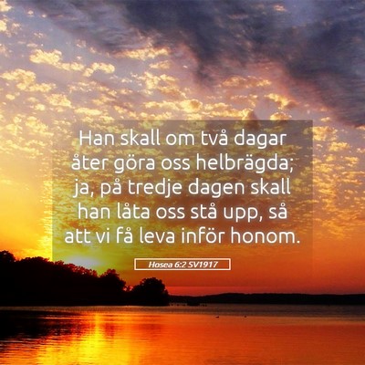 Picture 05 - Hosea 6:2 SV1917 - Han skall om två dagar åter göra oss - Bible Verse Picture