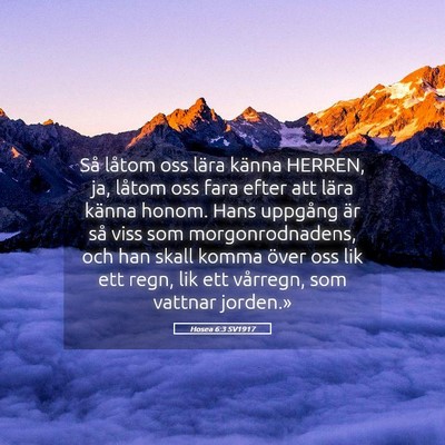 Picture 05 - Hosea 6:3 SV1917 - Så låtom oss lära känna HERREN, ja, låtom - Bible Verse Picture