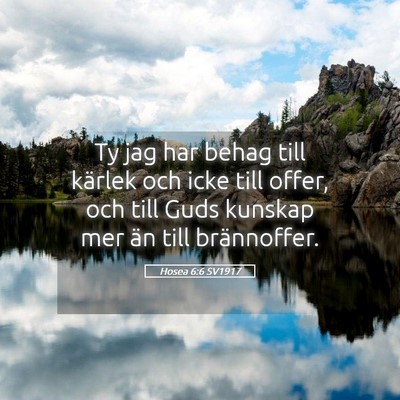Picture 05 - Hosea 6:6 SV1917 - Ty jag har behag till kärlek och icke till - Bible Verse Picture