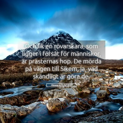 Picture 05 - Hosea 6:9 SV1917 - Och lik en rövarskara, som ligger i försåt - Bible Verse Picture