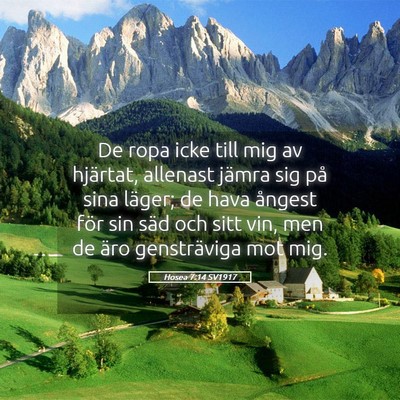 Picture 05 - Hosea 7:14 SV1917 - De ropa icke till mig av hjärtat, allenast - Bible Verse Picture
