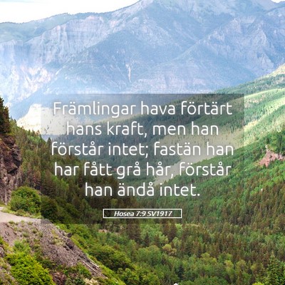 Picture 05 - Hosea 7:9 SV1917 - Främlingar hava förtärt hans kraft, men han - Bible Verse Picture