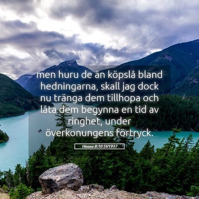 Picture 05 - Hosea 8:10 SV1917 - men huru de än köpslå bland hedningarna, skall - Bible Verse Picture