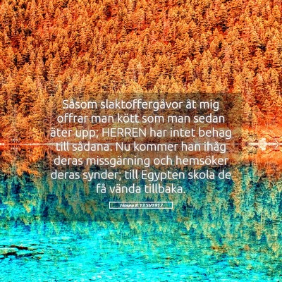 Picture 05 - Hosea 8:13 SV1917 - Såsom slaktoffergåvor åt mig offrar man kött - Bible Verse Picture