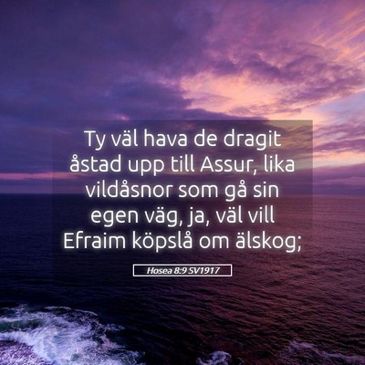 Picture 05 - Hosea 8:9 SV1917 - Ty väl hava de dragit åstad upp till Assur, - Bible Verse Picture