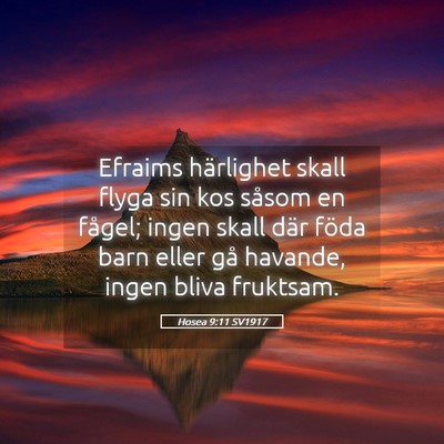 Picture 05 - Hosea 9:11 SV1917 - Efraims härlighet skall flyga sin kos såsom en - Bible Verse Picture