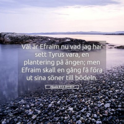 Picture 05 - Hosea 9:13 SV1917 - Väl är Efraim nu vad jag har sett Tyrus vara, - Bible Verse Picture