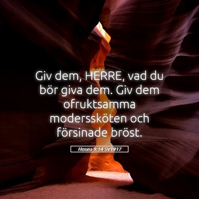 Picture 05 - Hosea 9:14 SV1917 - Giv dem, HERRE, vad du bör giva dem. Giv dem - Bible Verse Picture