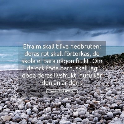Picture 05 - Hosea 9:16 SV1917 - Efraim skall bliva nedbruten; deras rot skall - Bible Verse Picture