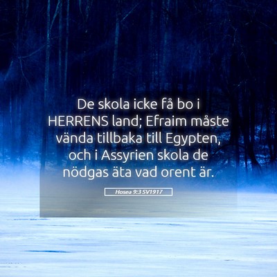Picture 05 - Hosea 9:3 SV1917 - De skola icke få bo i HERRENS land; Efraim - Bible Verse Picture