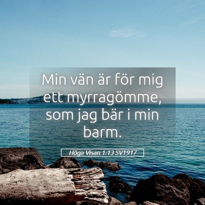 Picture 05 - Höga Visan 1:13 SV1917 - Min vän är för mig ett myrragömme, som jag - Bible Verse Picture