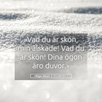 Picture 05 - Höga Visan 1:15 SV1917 - »Vad du är skön, min älskade! Vad du är - Bible Verse Picture