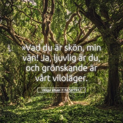 Picture 05 - Höga Visan 1:16 SV1917 - »Vad du är skön, min vän! Ja, ljuvlig är du, - Bible Verse Picture