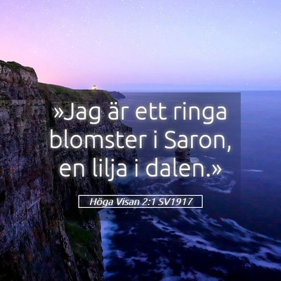 Picture 05 - Höga Visan 2:1 SV1917 - »Jag är ett ringa blomster i Saron, en lilja i - Bible Verse Picture