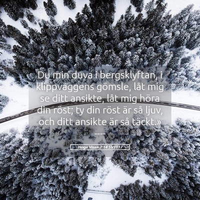 Picture 05 - Höga Visan 2:14 SV1917 - Du min duva i bergsklyftan, i klippväggens - Bible Verse Picture