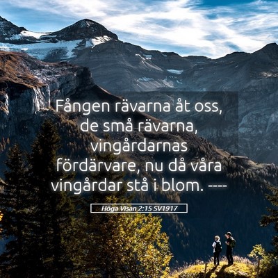 Picture 05 - Höga Visan 2:15 SV1917 - Fången rävarna åt oss, de små rävarna, - Bible Verse Picture