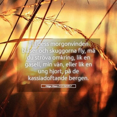Picture 05 - Höga Visan 2:17 SV1917 - Till dess morgonvinden blåser och skuggorna fly, - Bible Verse Picture