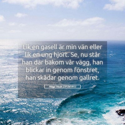 Picture 05 - Höga Visan 2:9 SV1917 - Lik en gasell är min vän eller lik en ung - Bible Verse Picture