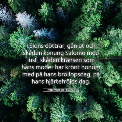 Picture 05 - Höga Visan 3:11 SV1917 - I Sions döttrar, gån ut och skåden konung - Bible Verse Picture