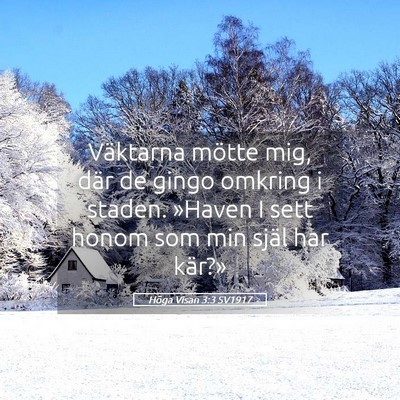 Picture 05 - Höga Visan 3:3 SV1917 - Väktarna mötte mig, där de gingo omkring i - Bible Verse Picture