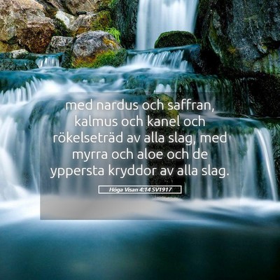 Picture 05 - Höga Visan 4:14 SV1917 - med nardus och saffran, kalmus och kanel och - Bible Verse Picture