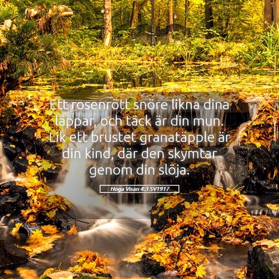 Picture 05 - Höga Visan 4:3 SV1917 - Ett rosenrött snöre likna dina läppar, och - Bible Verse Picture