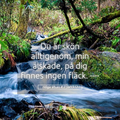 Picture 05 - Höga Visan 4:7 SV1917 - Du är skön alltigenom, min älskade, på dig - Bible Verse Picture