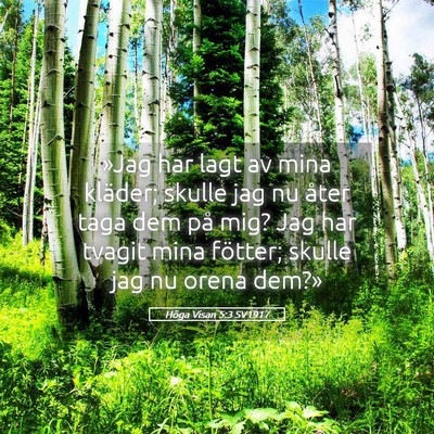 Picture 05 - Höga Visan 5:3 SV1917 - »Jag har lagt av mina kläder; skulle jag nu - Bible Verse Picture