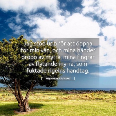 Picture 05 - Höga Visan 5:5 SV1917 - Jag stod upp för att öppna för min vän, och - Bible Verse Picture